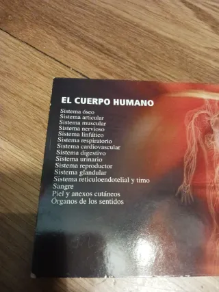 El Cuerpo Humano DVD Educativo