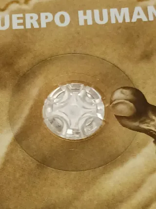 El Cuerpo Humano DVD Educativo