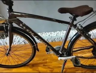 Bicicleta de paseo Wolfbike