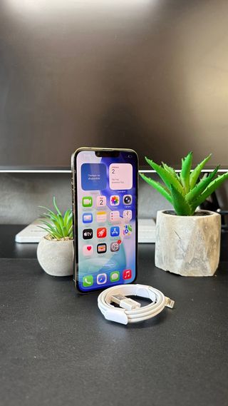 iPhone 13 Pro Oro IMPOLUTO 100% SALUTE BATTERIA