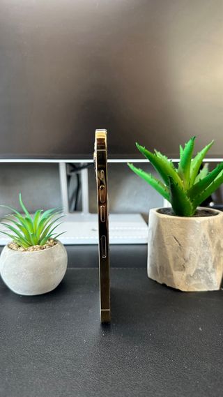 iPhone 13 Pro Oro IMPOLUTO 100% SALUTE BATTERIA