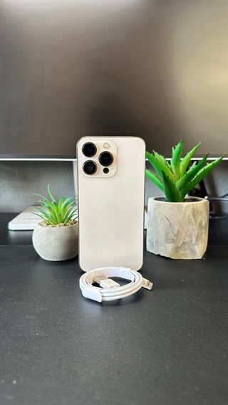 iPhone 13 Pro Oro IMPOLUTO 100% SALUTE BATTERIA