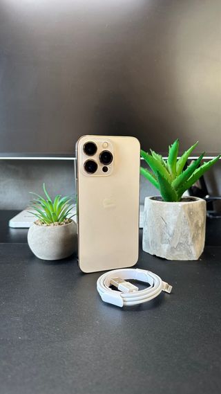 iPhone 13 Pro Oro IMPOLUTO 100% SALUTE BATTERIA