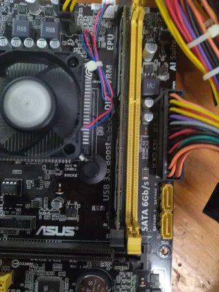 Placa Base ASUS AM1M-A