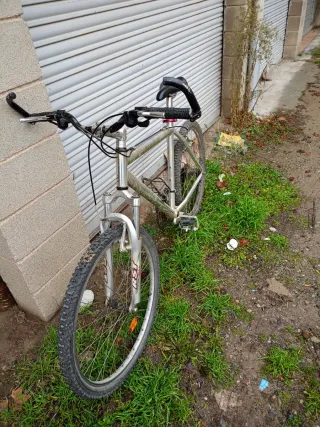 Bicicleta de montaña plateada