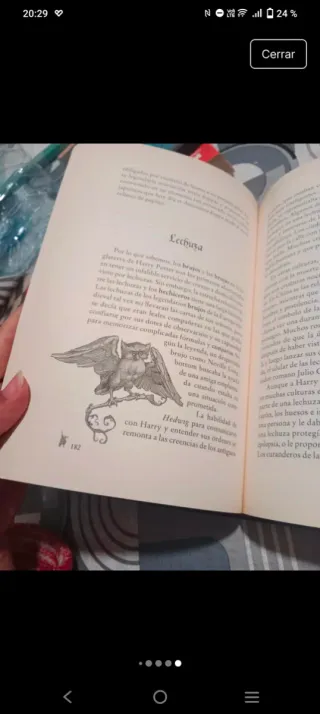 El diccionario del mago