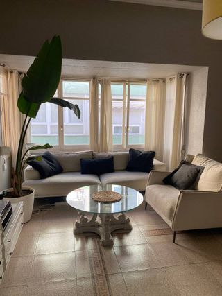 sofá y sillón de lujo