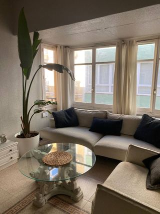 sofá y sillón de lujo