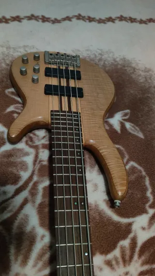 Bajo Cort Artisan A5