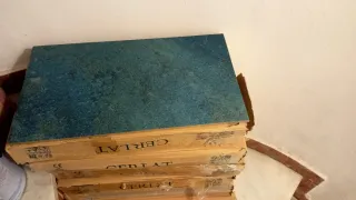 Azulejos verde azulado