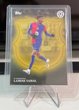 Lote de cromos FC Barcelona.