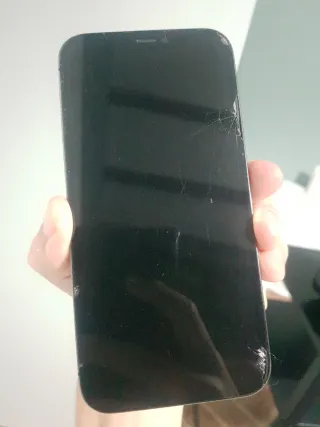 iPhone 12 Pro Apple (leer descripción)