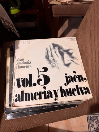 Vinilo Antología Flamenca