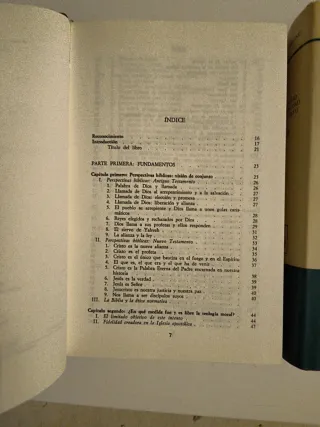 Lote libertad y fidelidad en Cristo