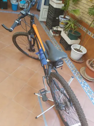 Bicicleta de montaña