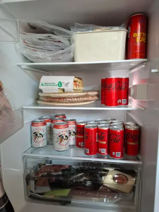 Oferta Frigorífico Zanussi ZXAN13EW0 Blanco