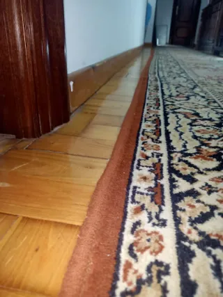 Alfombra de pasillo estilo oriental