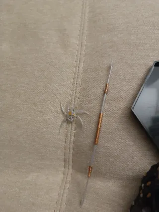 Figura Depredador con accesorios