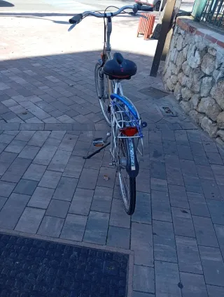 Bicicleta Batavus Plata