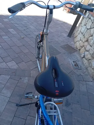 Bicicleta Batavus Plata