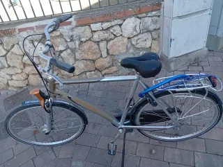 Bicicleta Batavus Plata