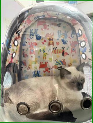 Mochila transportín para mascotas