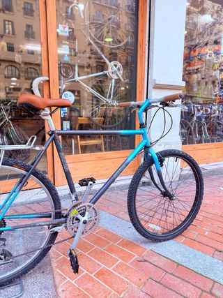 Bicicleta de Montaña