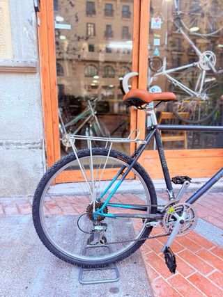 Bicicleta de Montaña