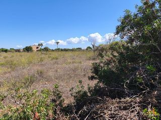 Terreno en venta en Porreres