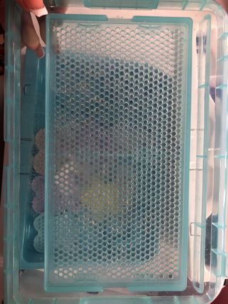 Set de Aquabeads con accesorios