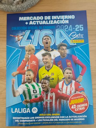 Colección Cromos Liga Invierno 24/25