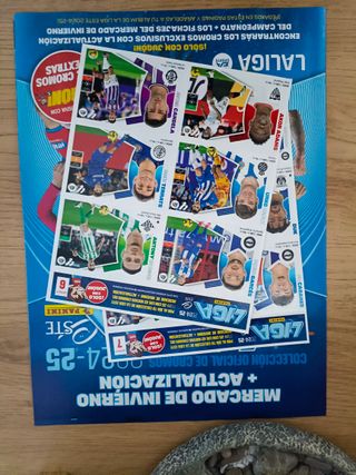 Colección Cromos Liga Invierno 24/25