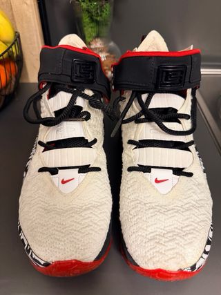 Zapatilla Nike LeBron 17