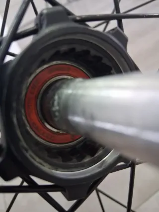 Rueda 29 Scott RP 2.0 Tubeless