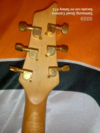 Guitarra Eléctrica PARKSONS PROFESIONAL