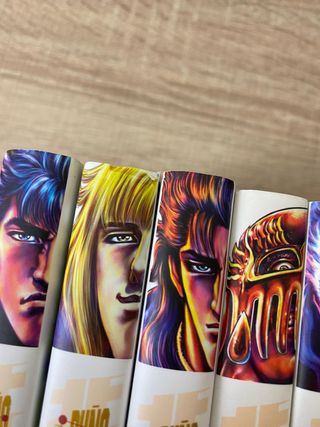 El puño de la Estrella del Norte