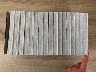 El puño de la Estrella del Norte