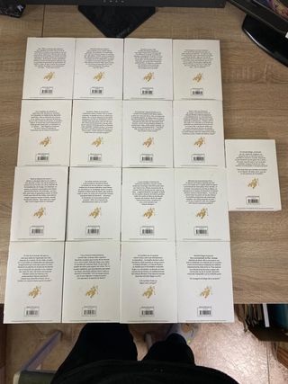 El puño de la Estrella del Norte