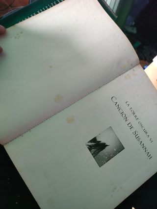 Canción de Susannah (La Torre Oscura 6)