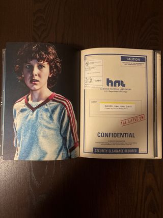 Stranger Things. Mundos del Revés