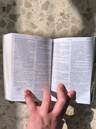 Diccionario Didáctico: DICO Francés-Español