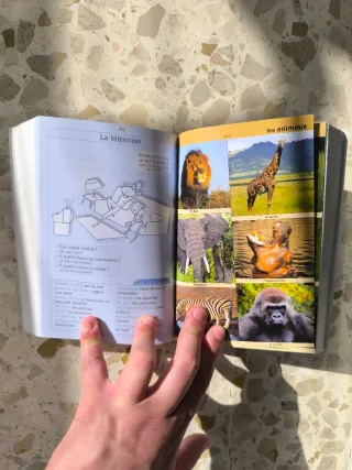 Diccionario Didáctico: DICO Francés-Español