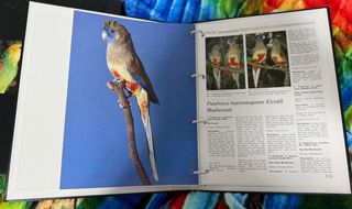 Libros aves exóticas.