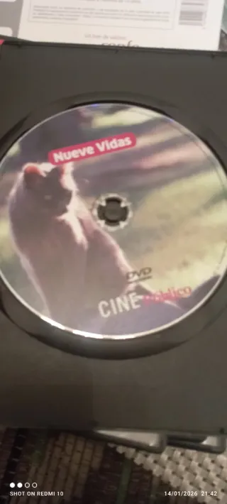 Lote 6 Películas DVD Comedia Drama Suspense