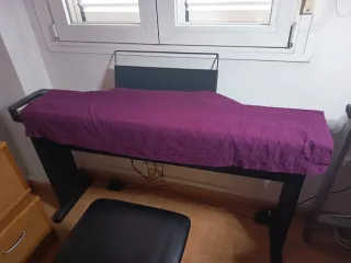 Teclado Casio con soporte y banqueta
