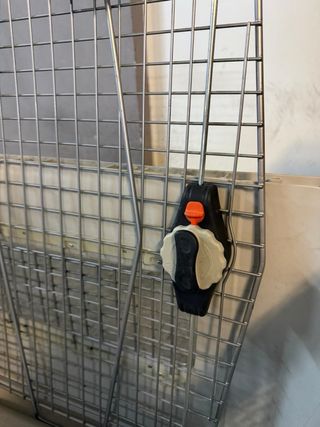 Canil grande para perros