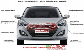 Piloto Trasero Izquierdo Renault Scenic III año 2