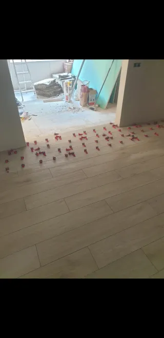 Paleta oficial de primera