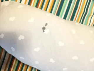 Cojín Lactancia y Embarazo Corazones