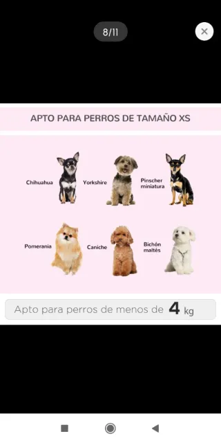 Mochila Transportín- carro ruedas para Perro